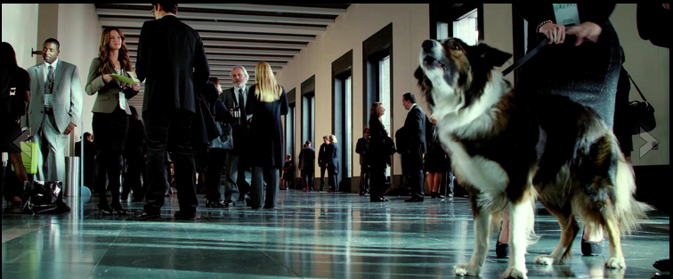 Screen Shot 2022-07-11 at 11.55.29 AM.png