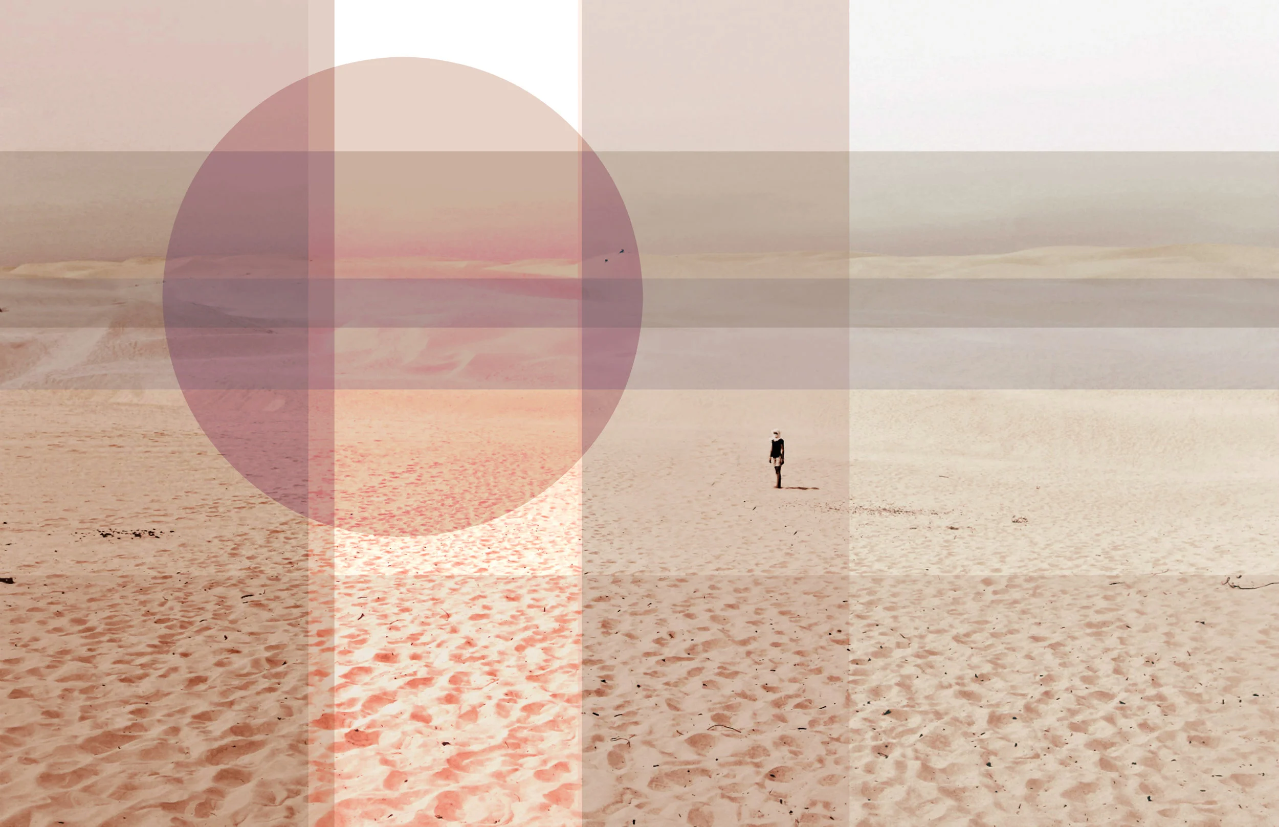 Fern Dunes Circle Pink.jpg
