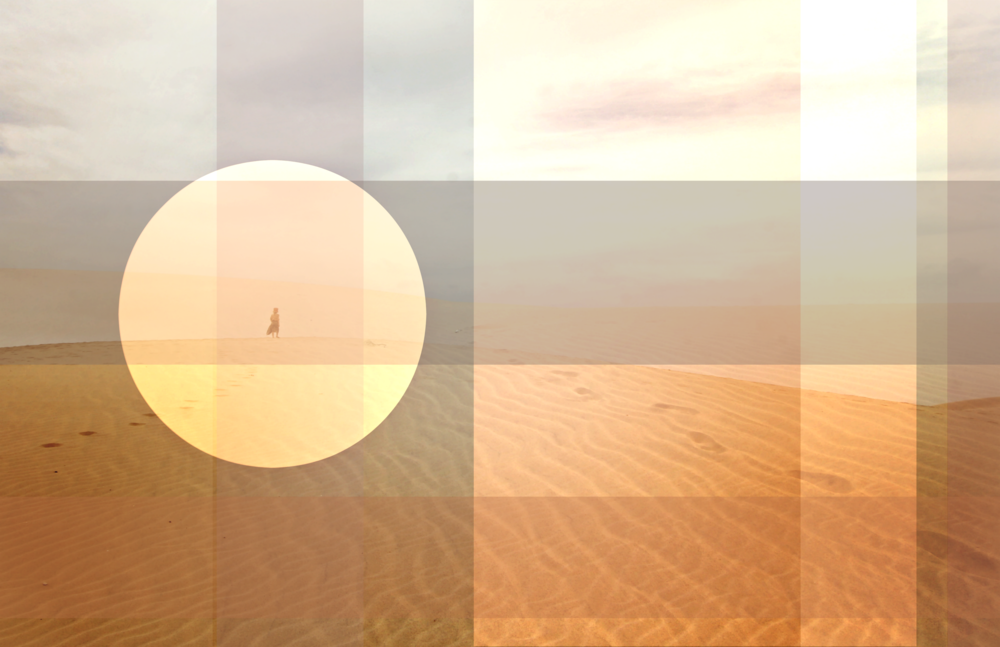 spotlight rosemary scott-fishburn art desert beach.png