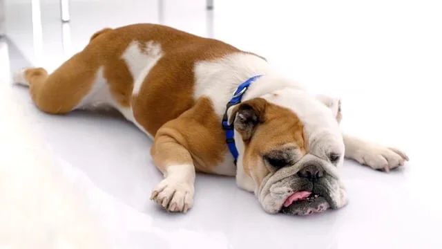 Filtrete Filters "Teenager"