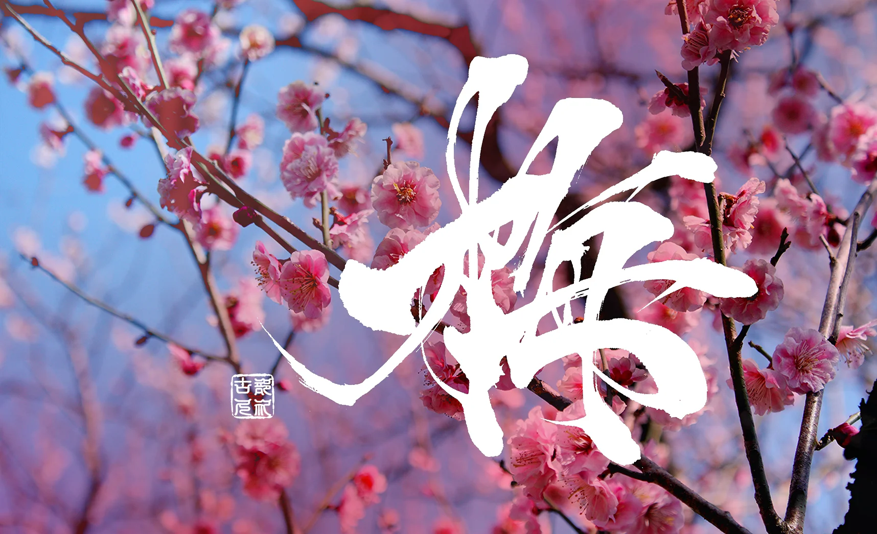 ume.jpg