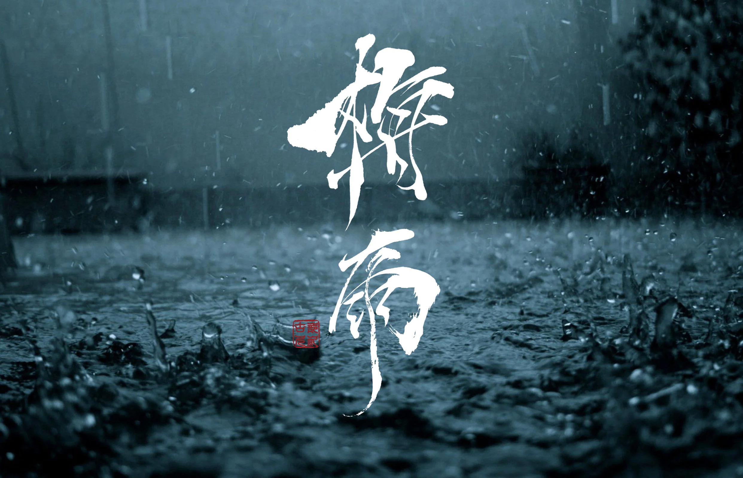 tuyu (2).jpg