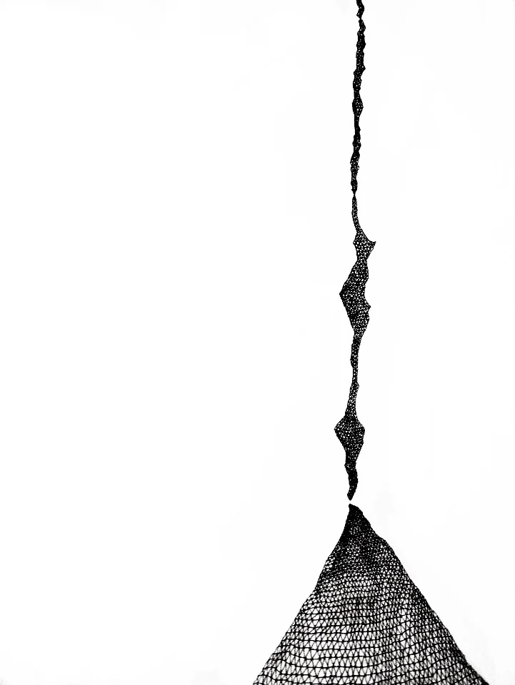 Center of Mass