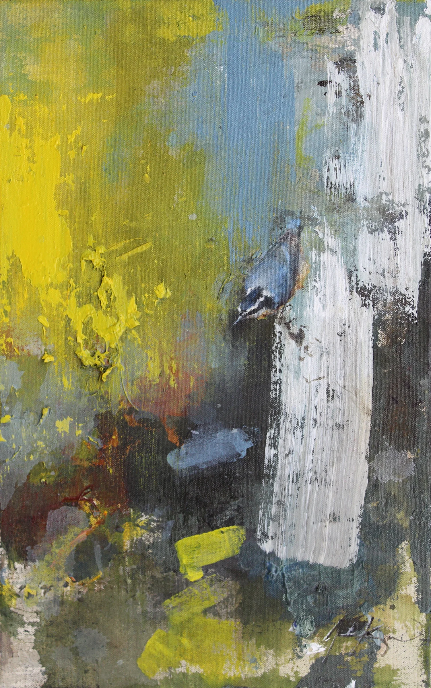 The Timing is Right (Red-Breasted Nuthatch) 16 X 10.JPG