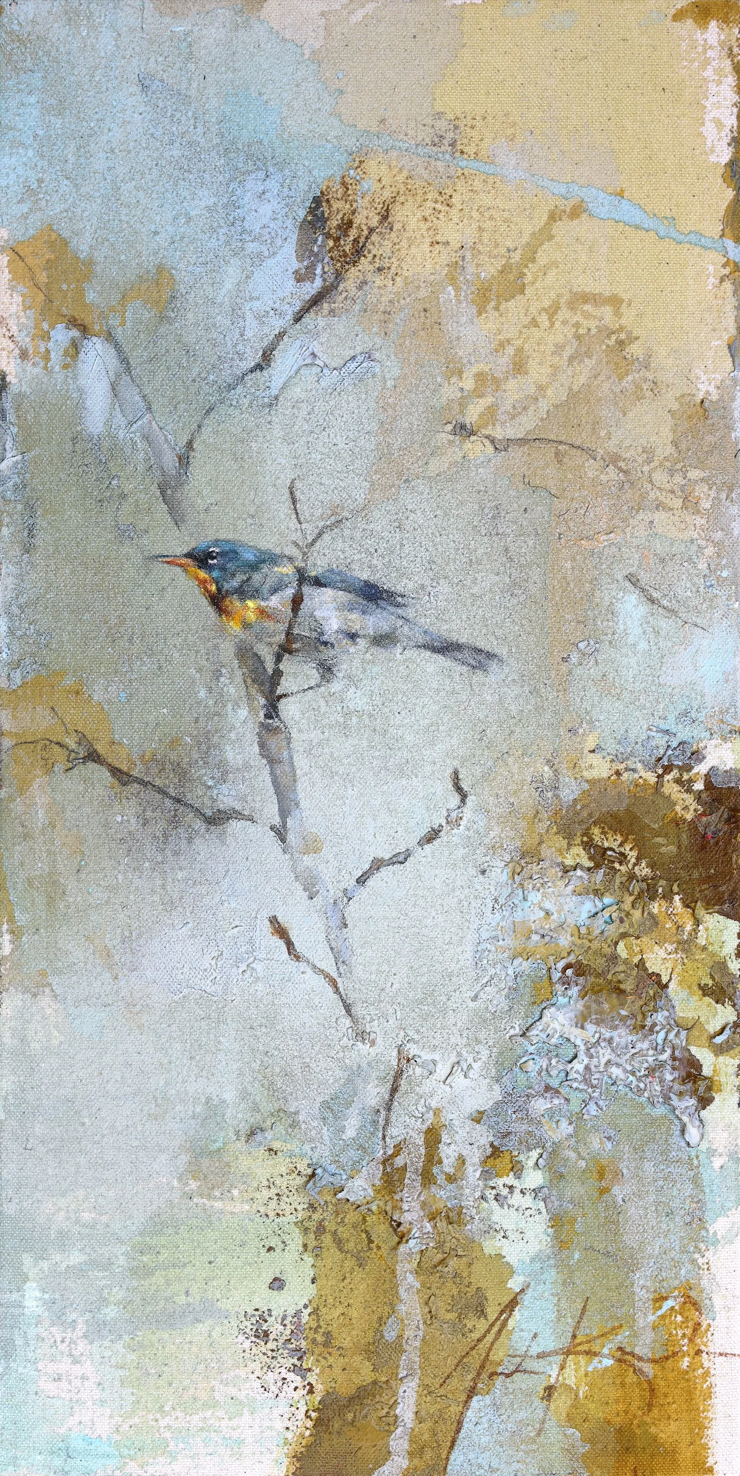 Northern Parula 16 x 8.JPG