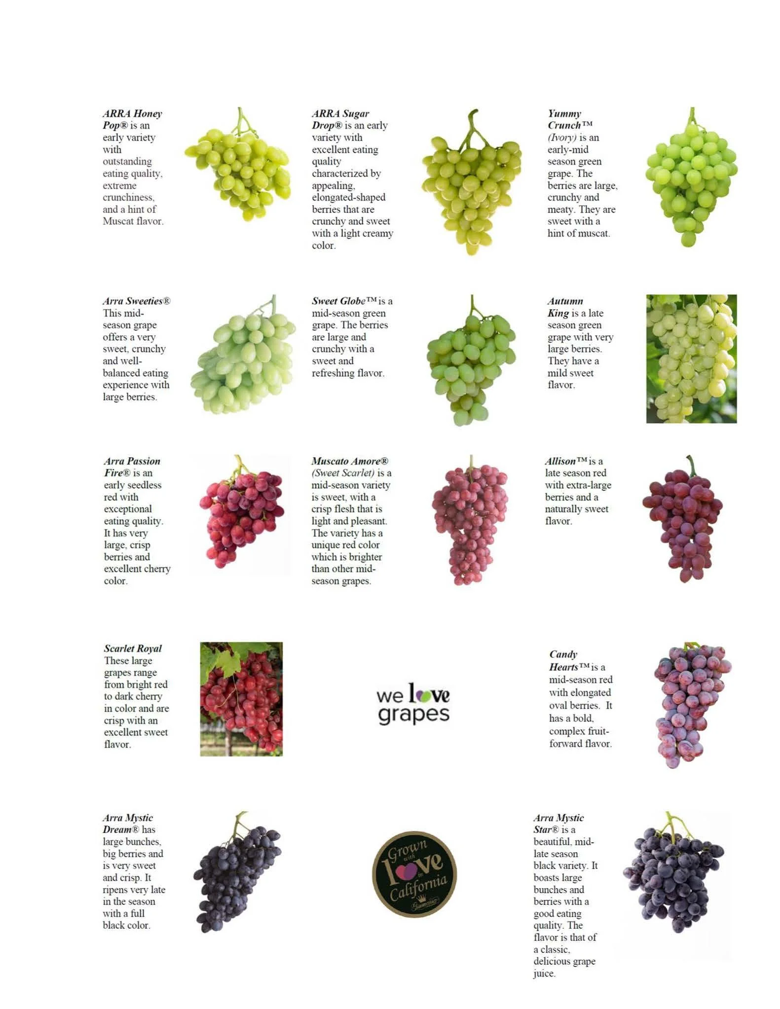 Wine Grape Types List Wine Grape Variety Guide CPHBOU Wine Grape Types List Wine Grape Variety Guide CPHBOU