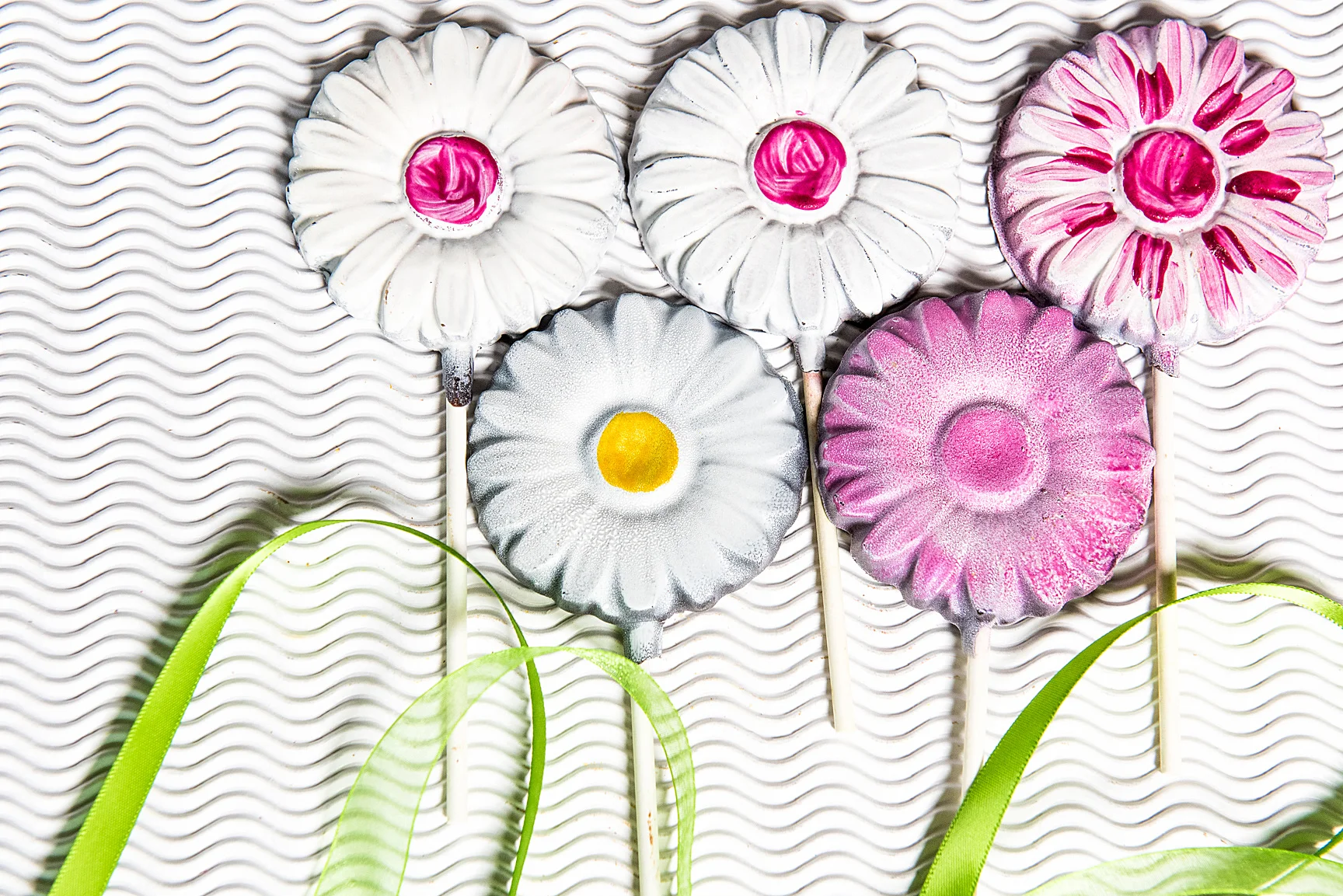Garden Daisies