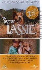 The New Lassie.jpg