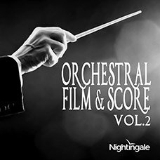 Orchestral Film & Score 2.jpg