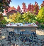 _DSC0239_ (2)_thumb.jpg