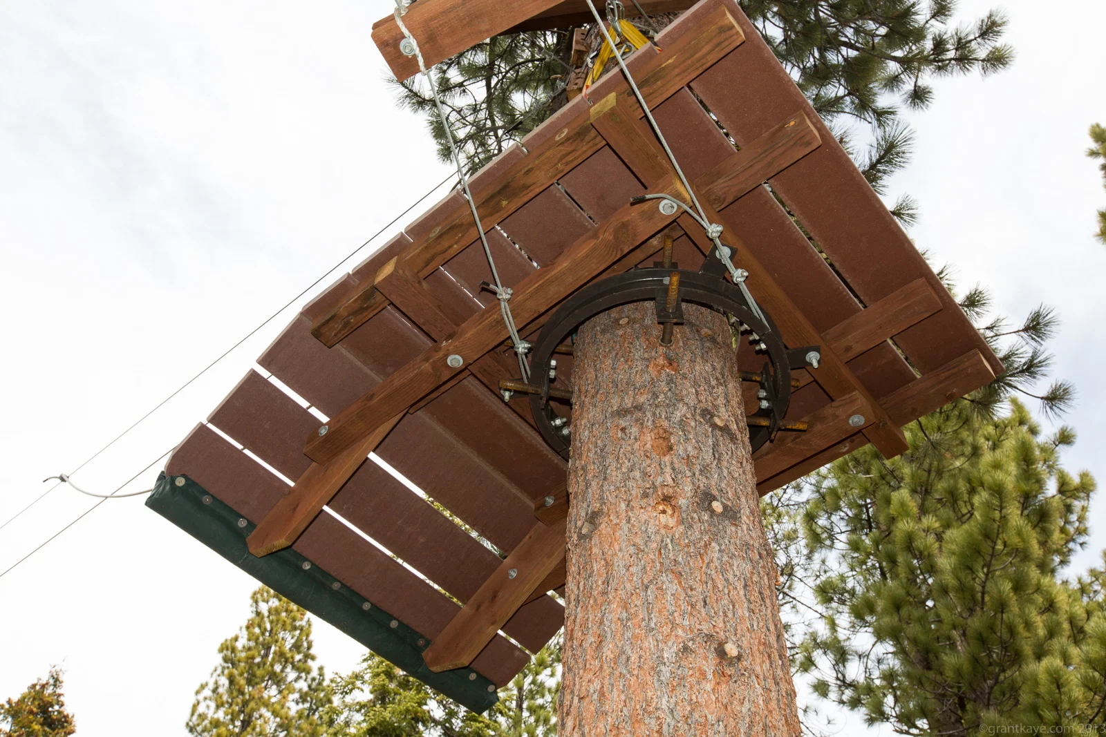 Tree platform Tahoe Treetop Adventure Park