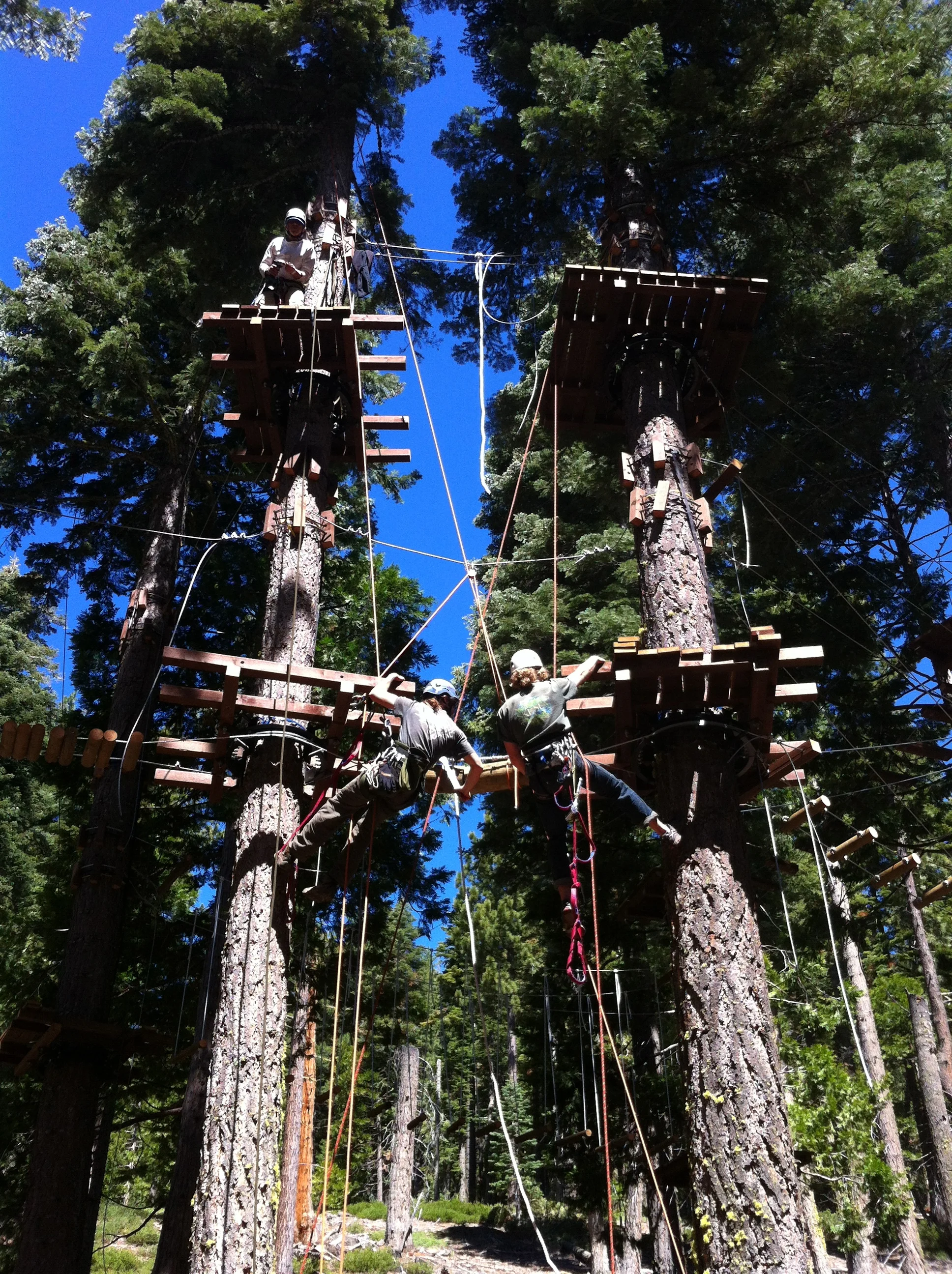 Building the Spiral Course at Tahoe Treetop Adventure Park