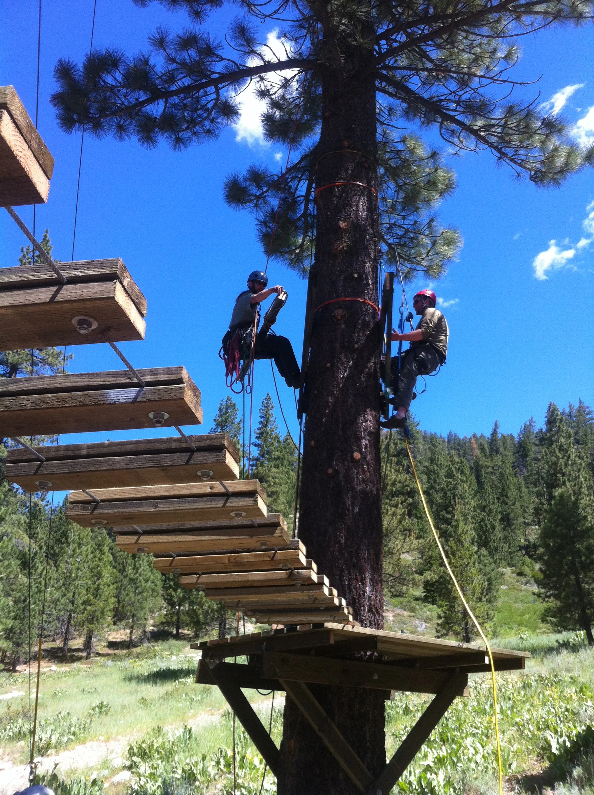 Platform install Squaw Valley Ropes Course