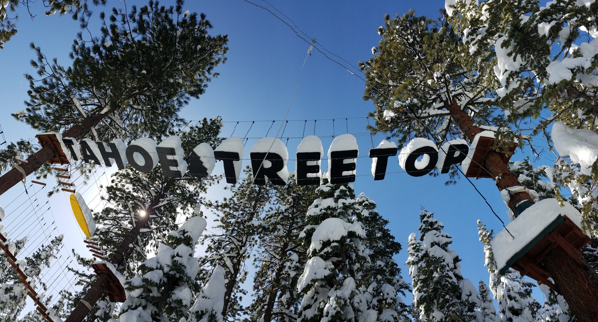 Snowy Tahoe Treetop photo.jpg