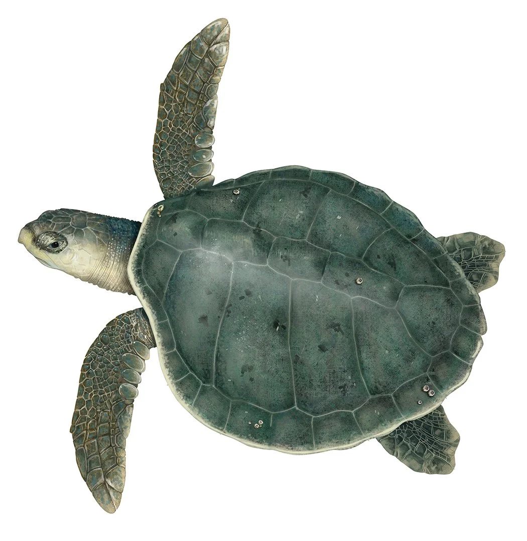 Sea_Turtle_Kemps_Ridley_150_R.jpg