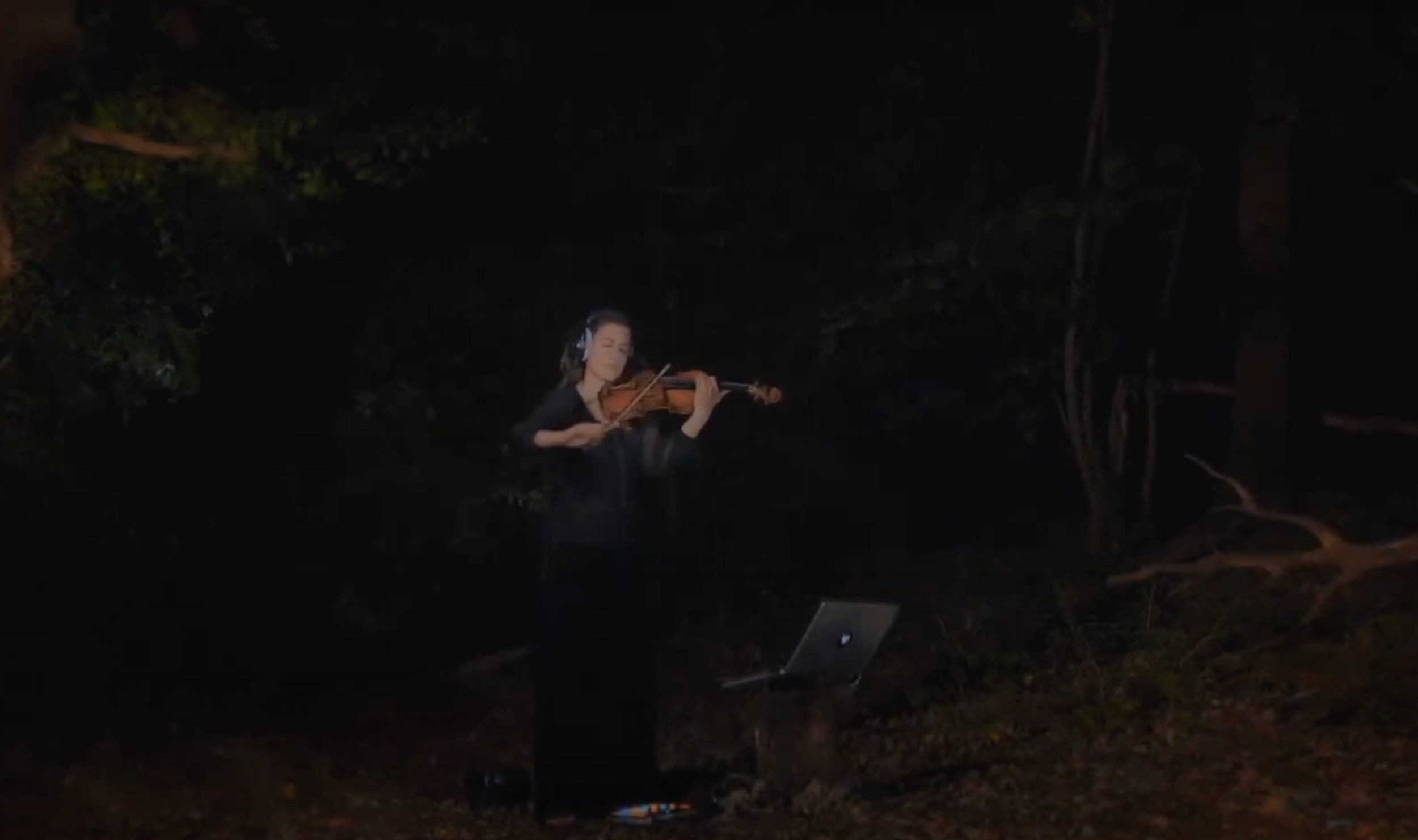 Virtual concert - light & dark