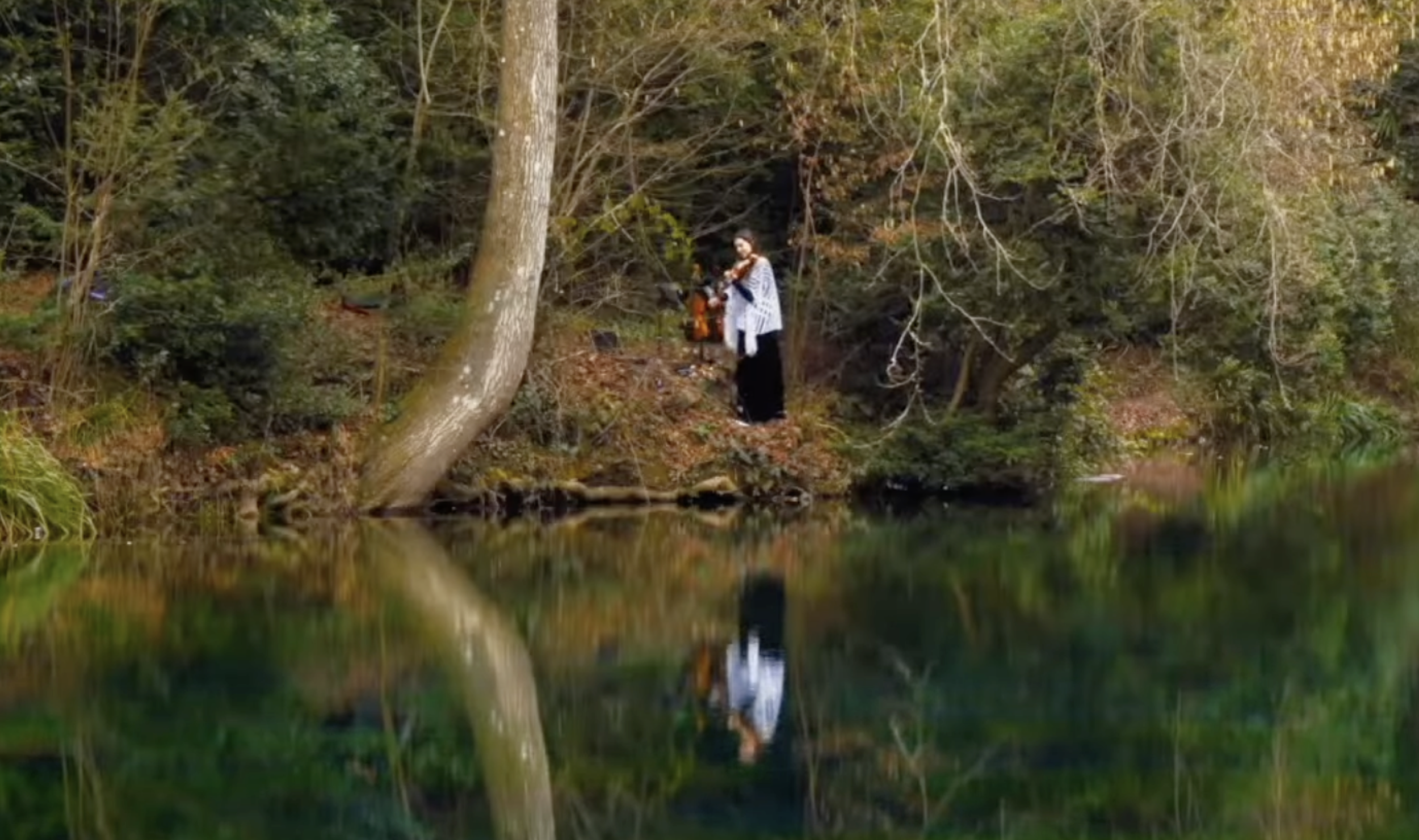 Virtual concert - mirror images