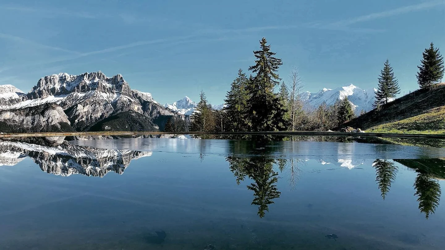Happy New Year ❄️🎶🤍 Took some time away from social media to spend with family, friends and nature. Will be sharing some exciting news soon!🤗 #hello2023 #happynewyear #stillness #nature #naturephotography #montblanc #winterlandscape