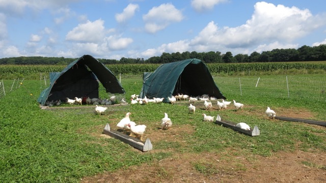 Image 34.jpg