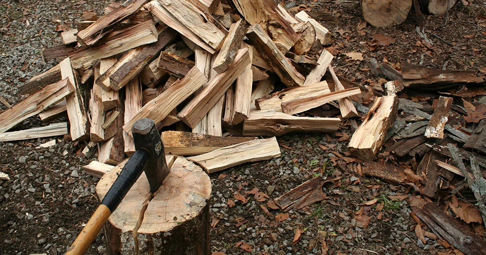 splitting-hickory.jpg