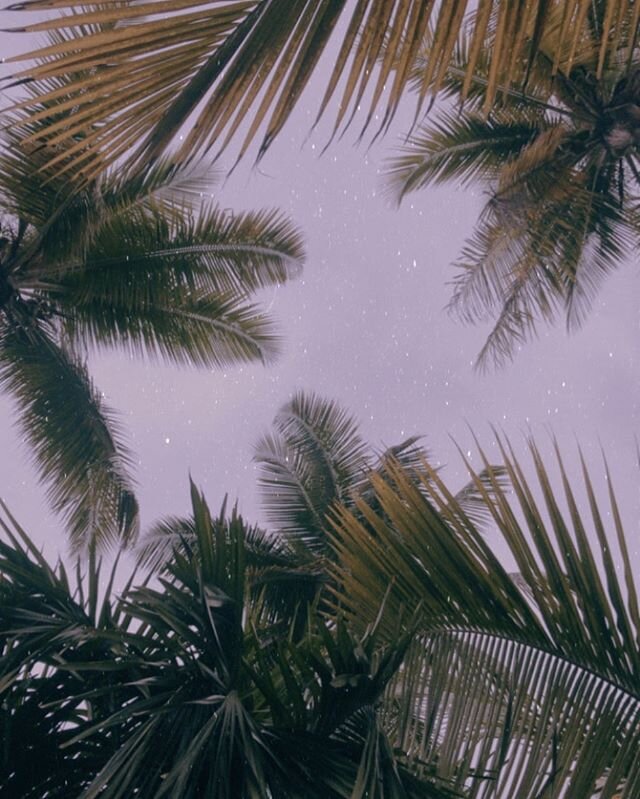 vistas do c&eacute;u ✨
.
.
#vistasdoceu #brazil #bahia #paraisoverde