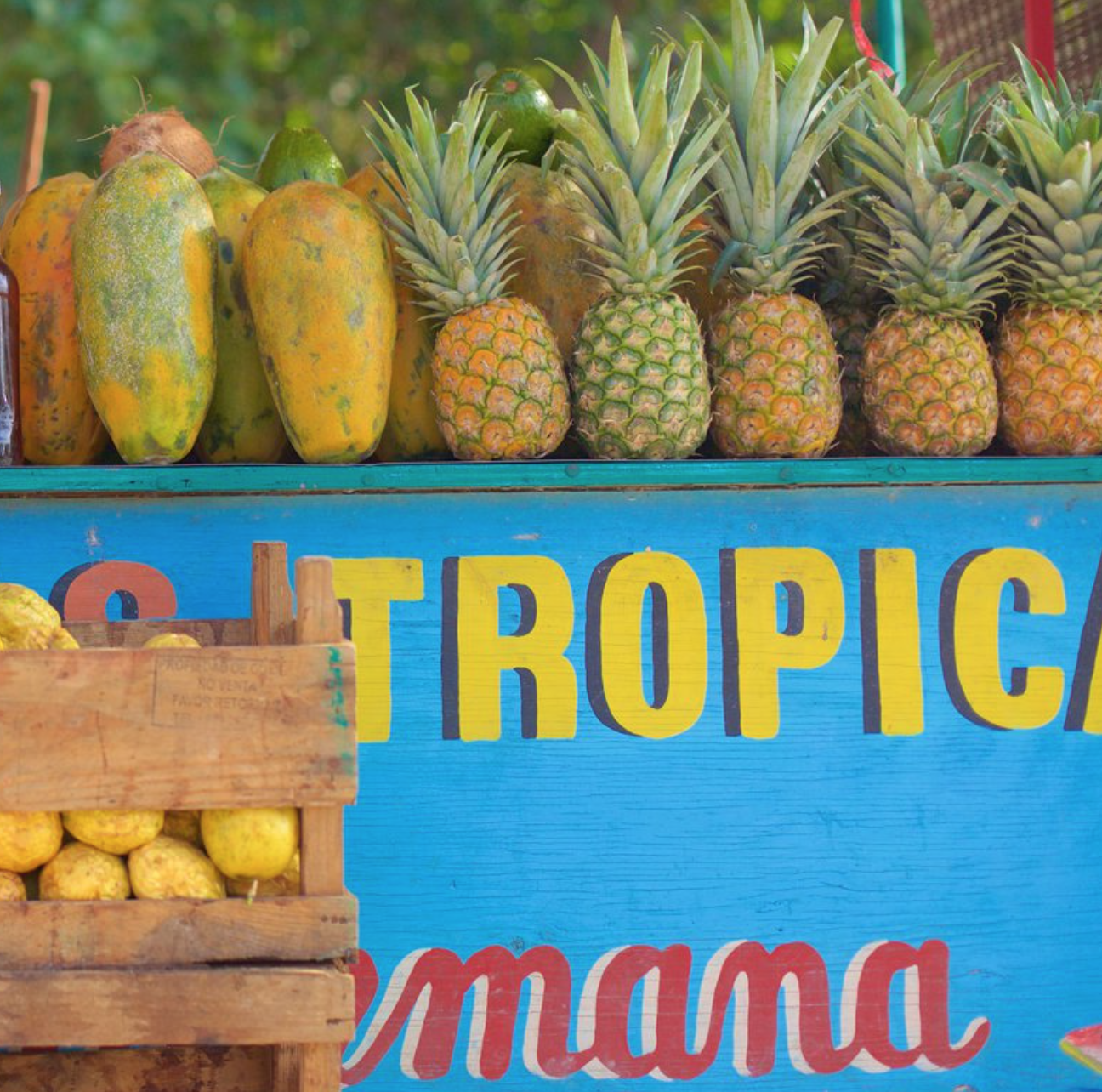 Screen Shot 2019-05-01 at 12.48.53 AM.png