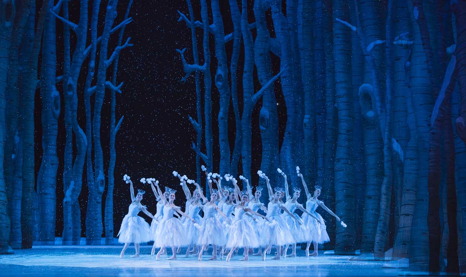 15_Nutcracker_eb_143.small_.jpg