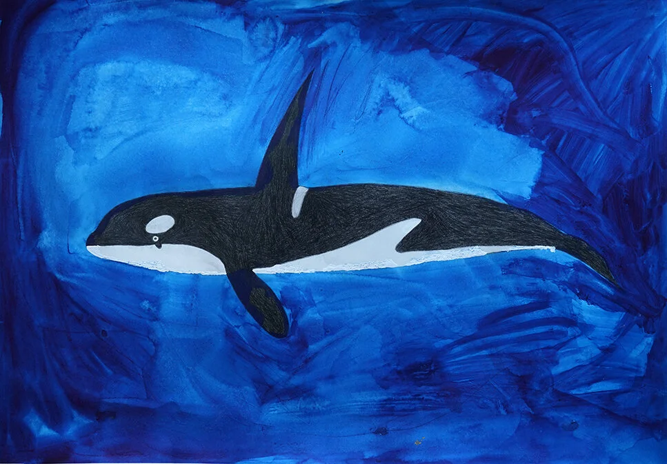 Jordan Chow - Killer Whale