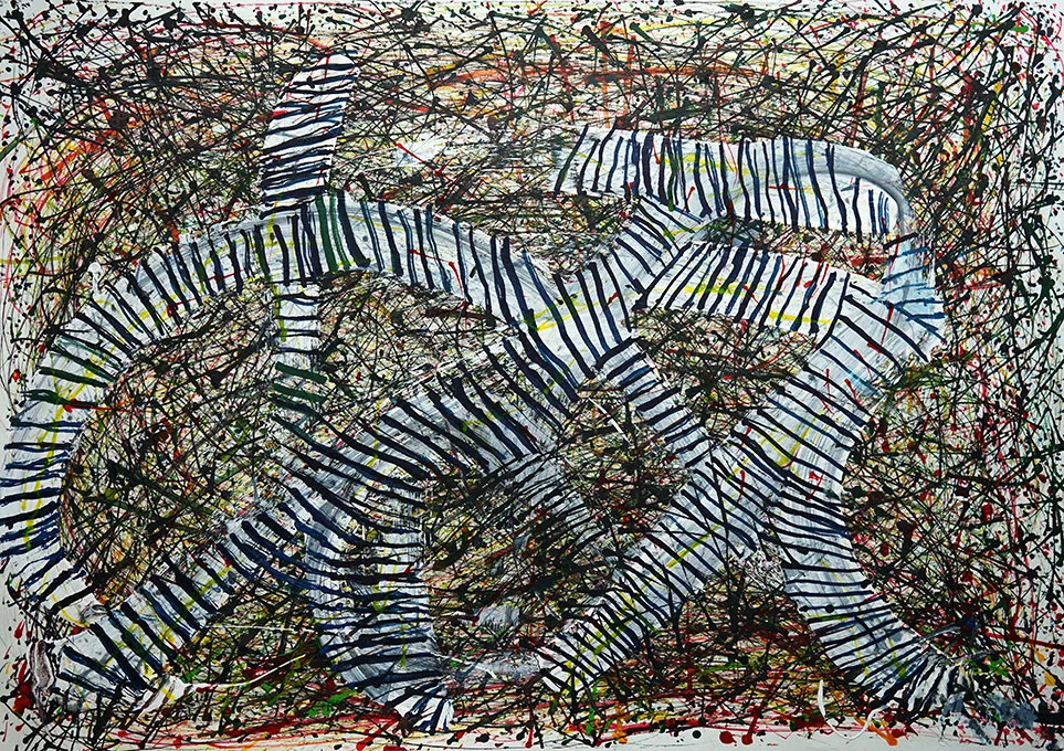 Matthew Tucker - Zebra Snakes web.jpg