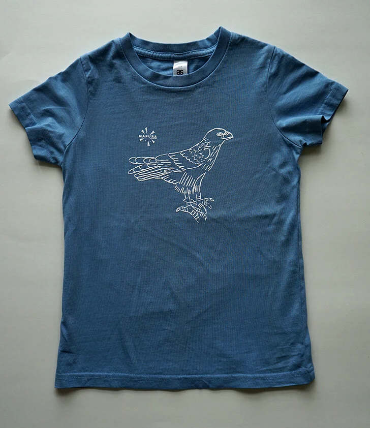 Eagle Kids Light Blue web.jpg