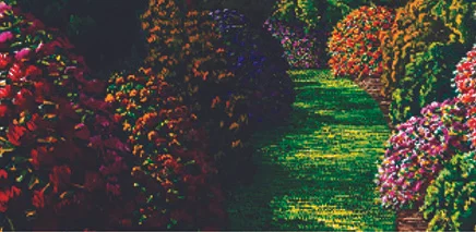 Karl maughan low res.jpg