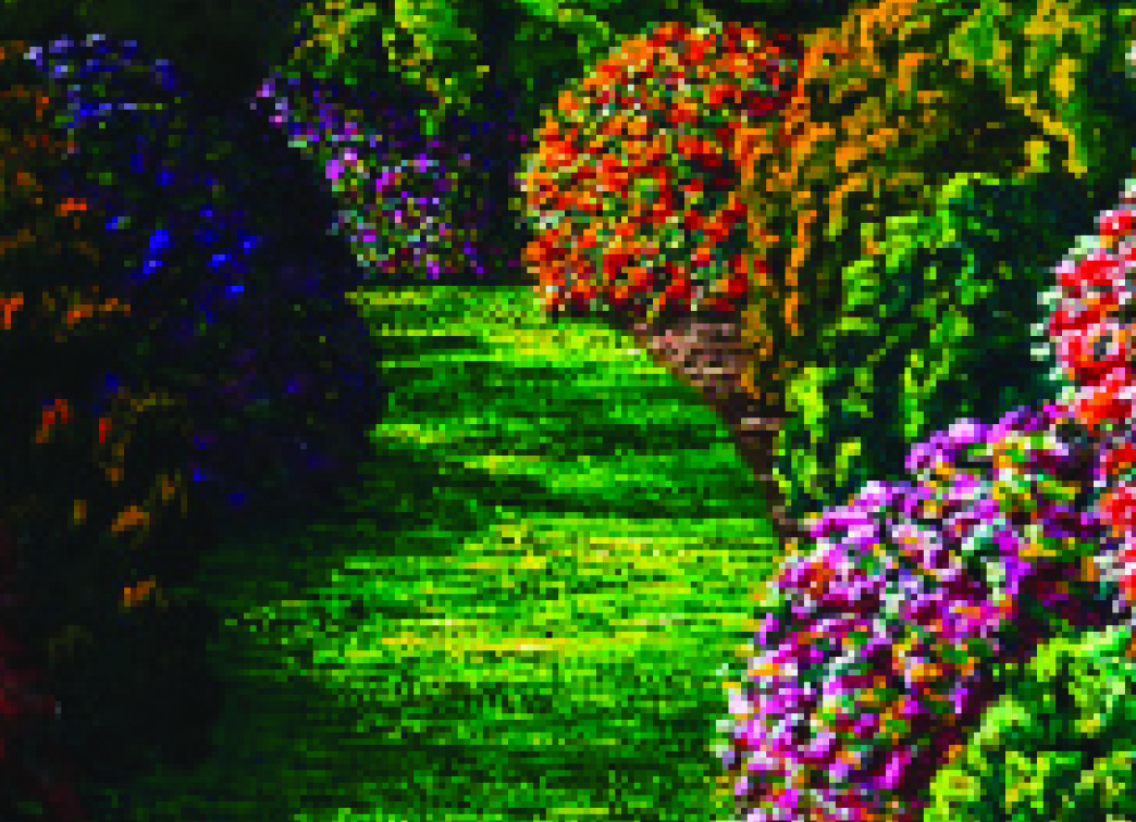 Karl maughan crop.jpg