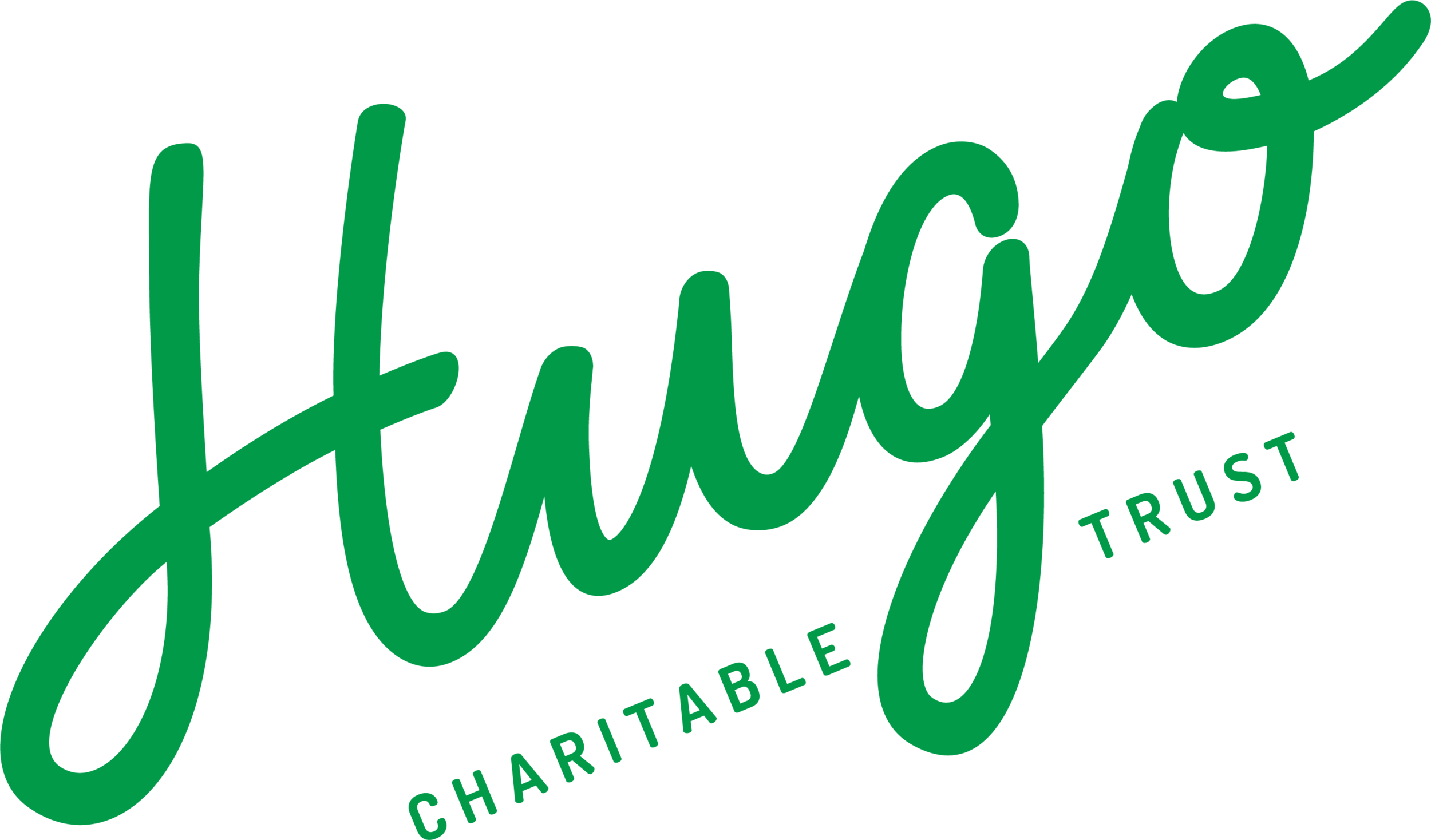 hugo-charitable-trust-rgb009A49.png