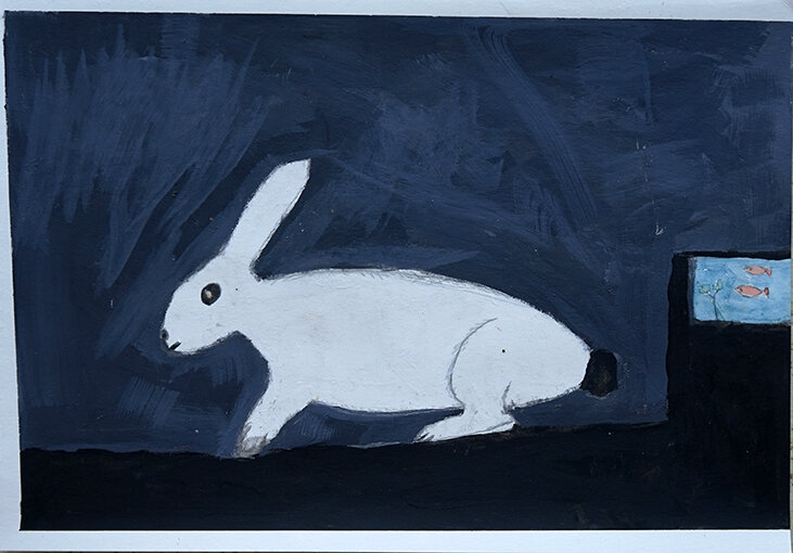 Brandon Hosken - Indoor Rabbit