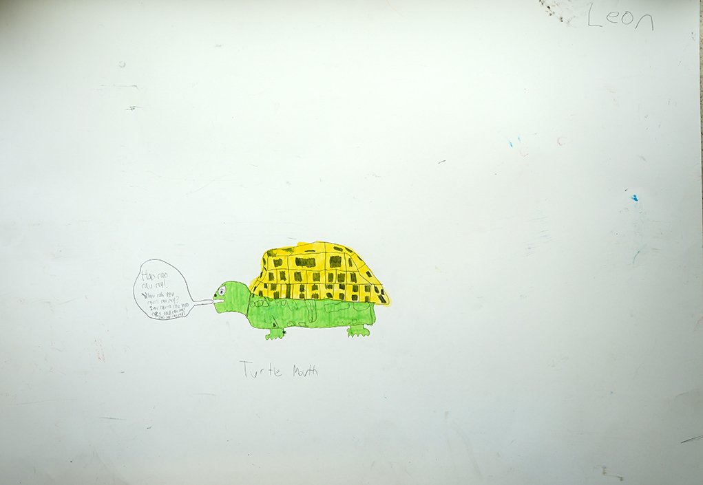Leon Vanderschaaf - Turtle Mouth web.jpg