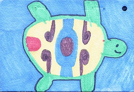 Keenan Rasmussen - Turtle web.jpg