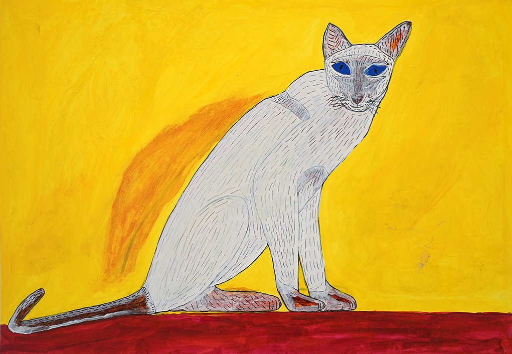 Brandon Hosken - Cat on a Red Carpet web.jpg