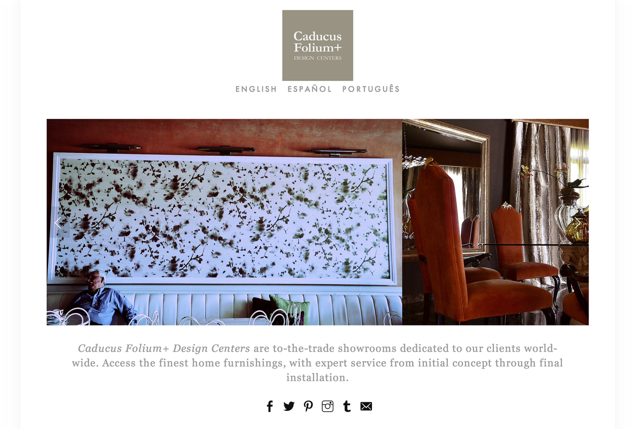 Website Design