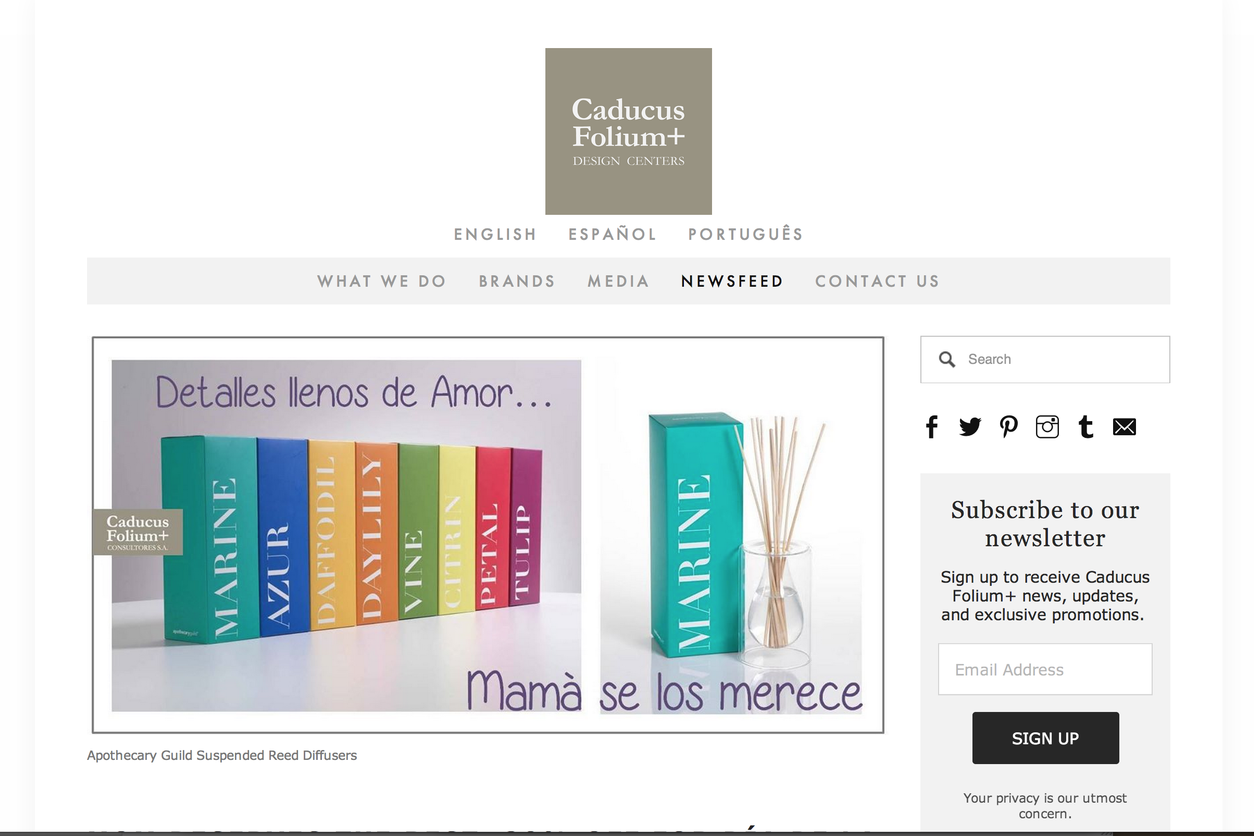 Blogs writing & Newsletter management