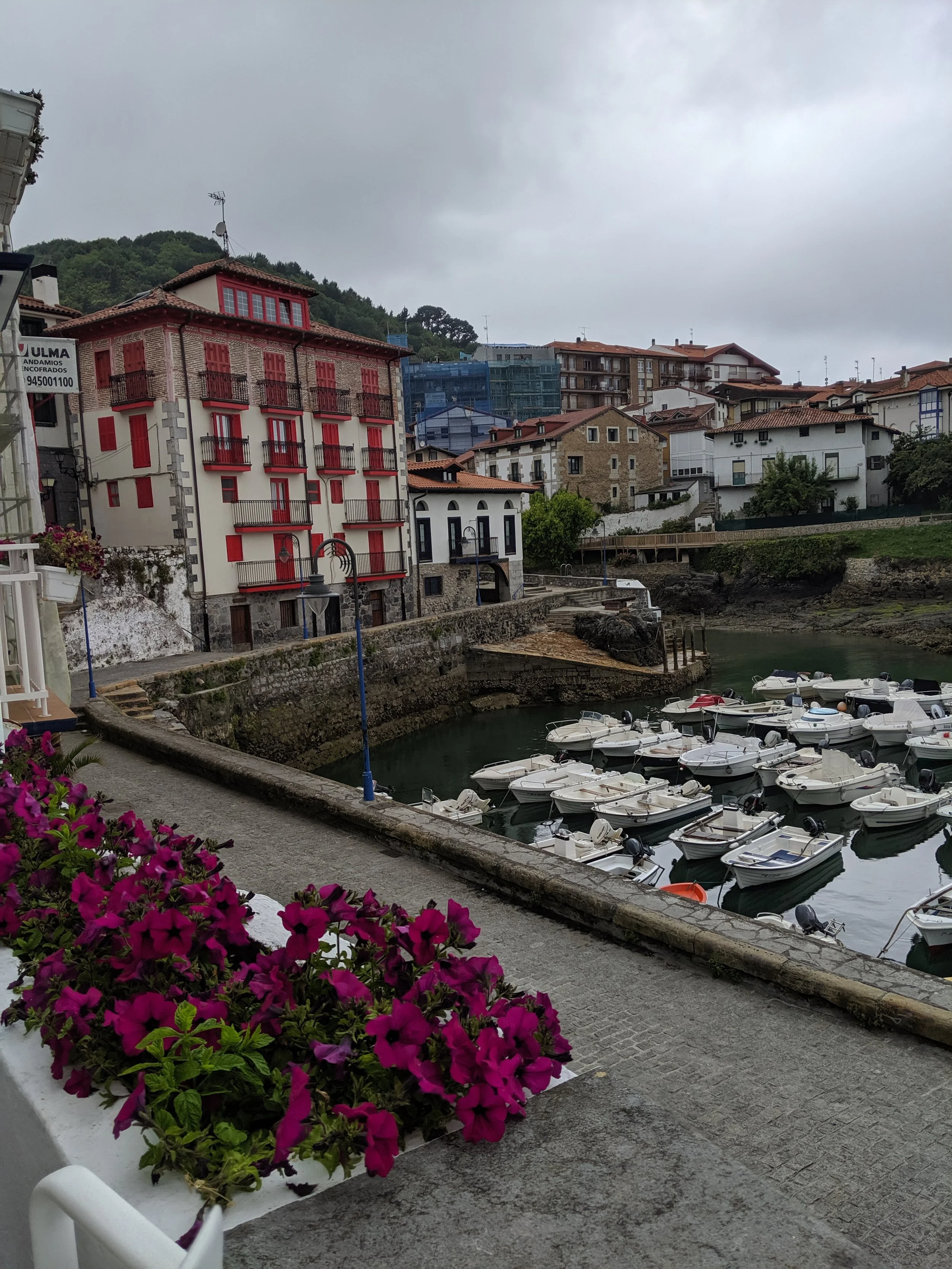 IMG_20190609_172742.jpg
