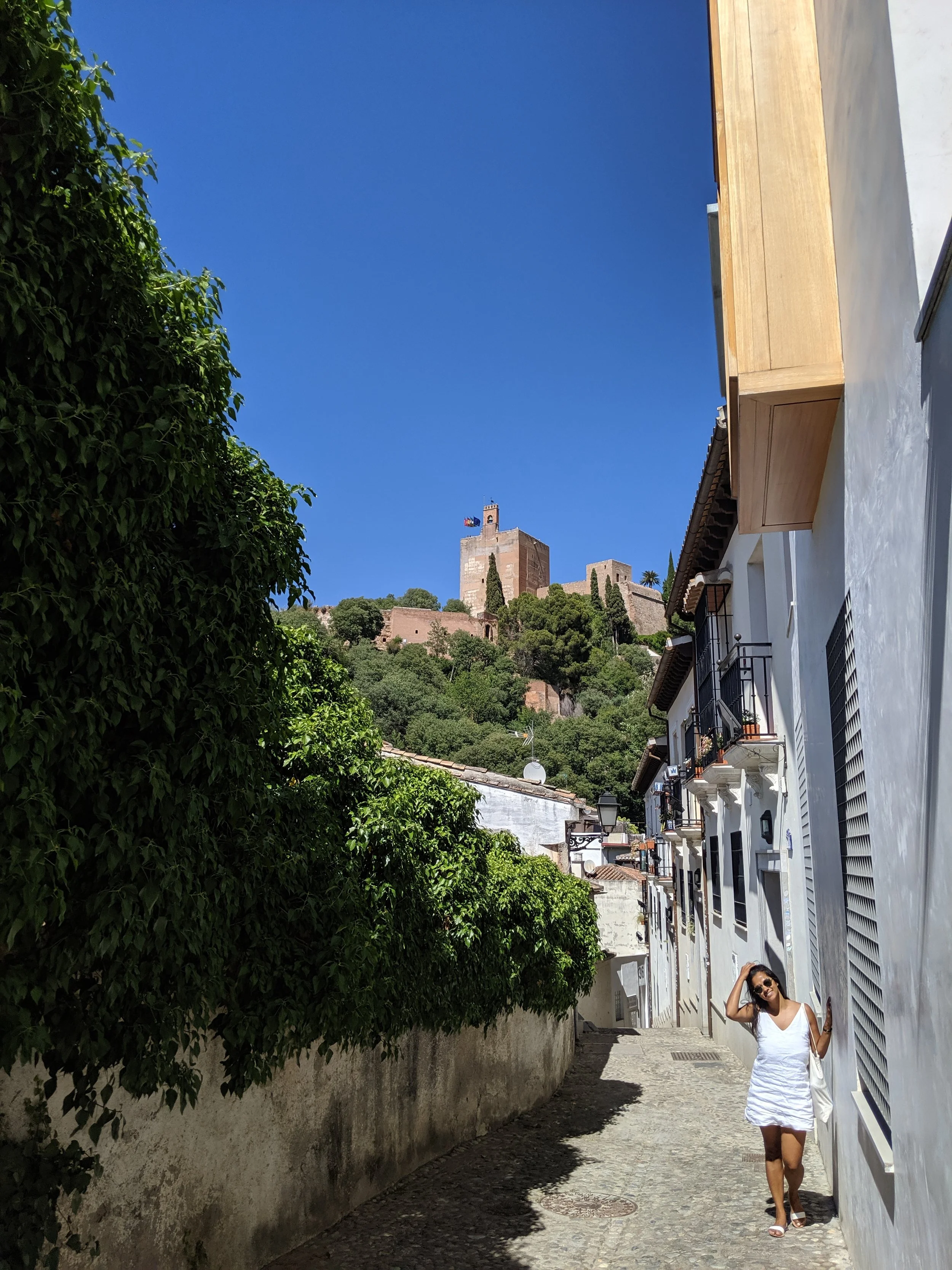 MVIMG_20190615_164929.jpg