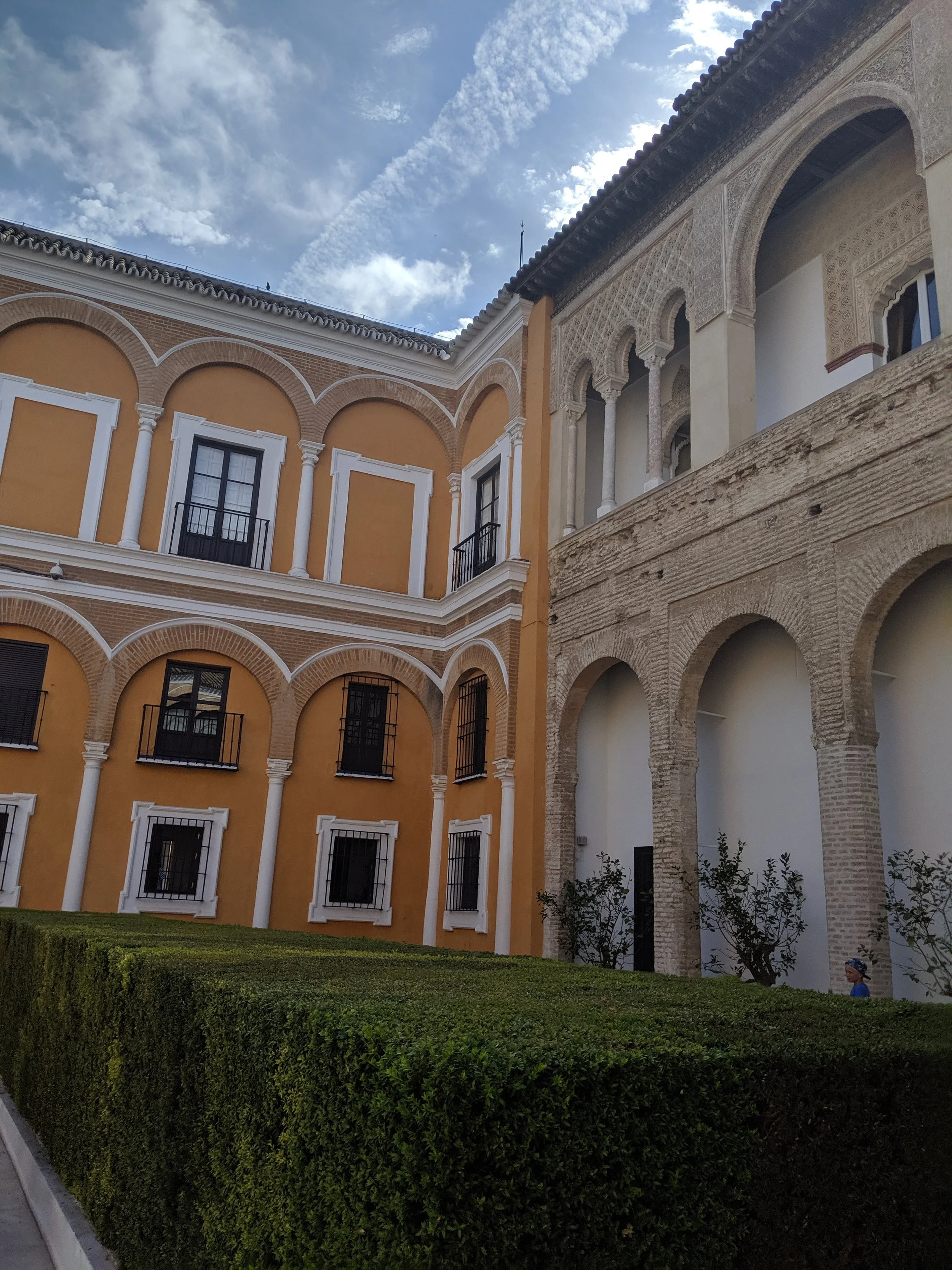 IMG_20190624_103556.jpg