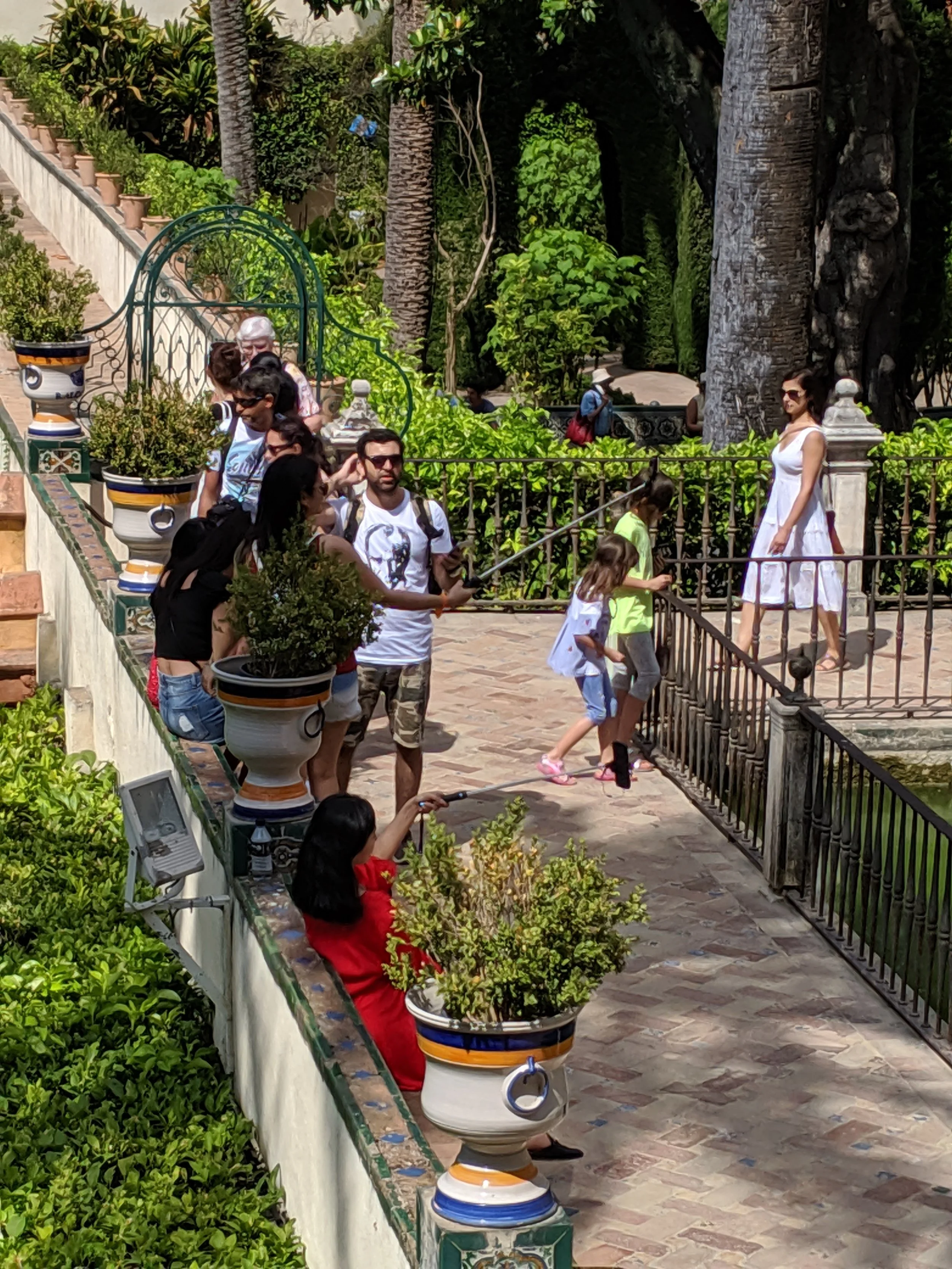 IMG_20190624_114530.jpg