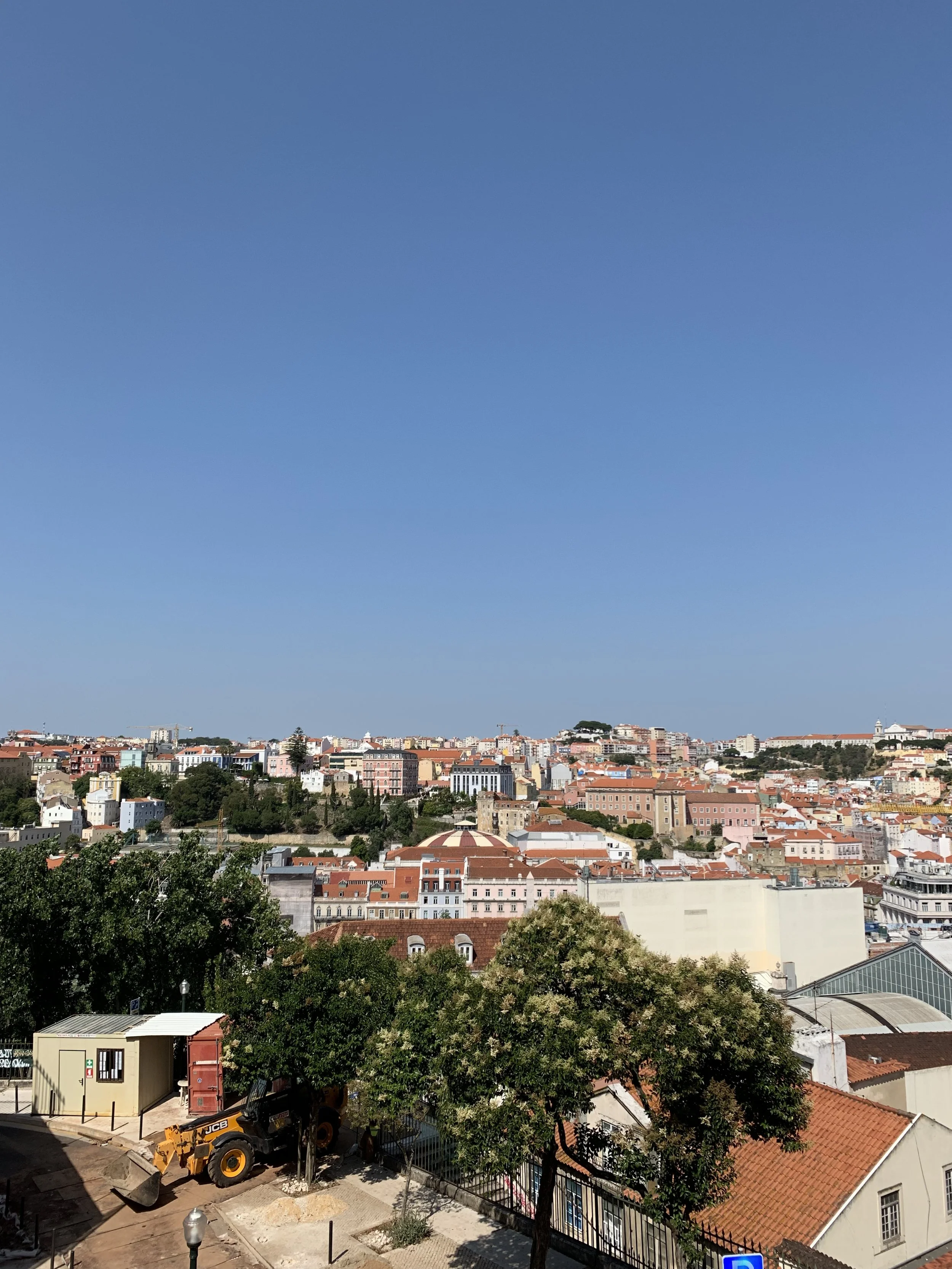 f9383e51-5ae5-4406-a647-47d4c27bba2e.jpg
