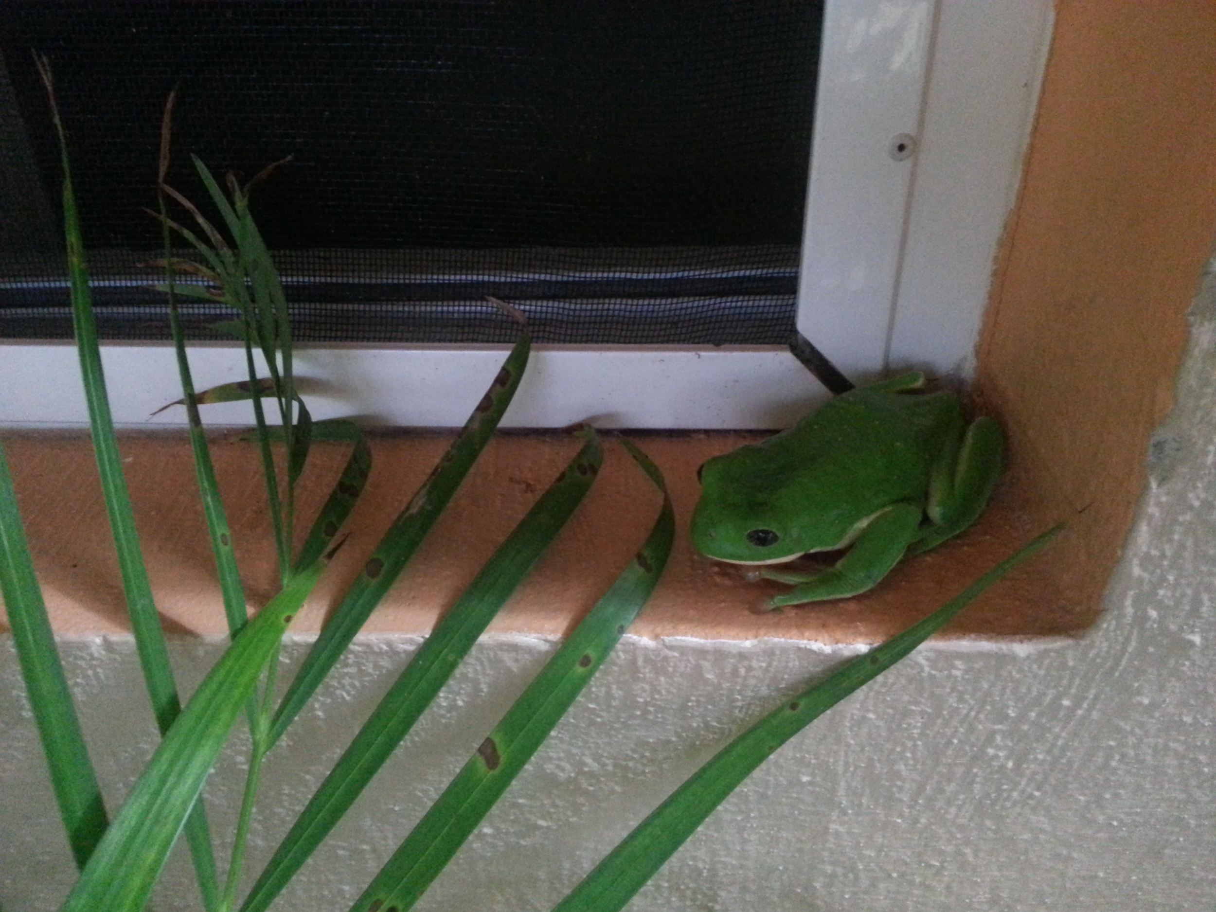 A guest at the hotel is going green