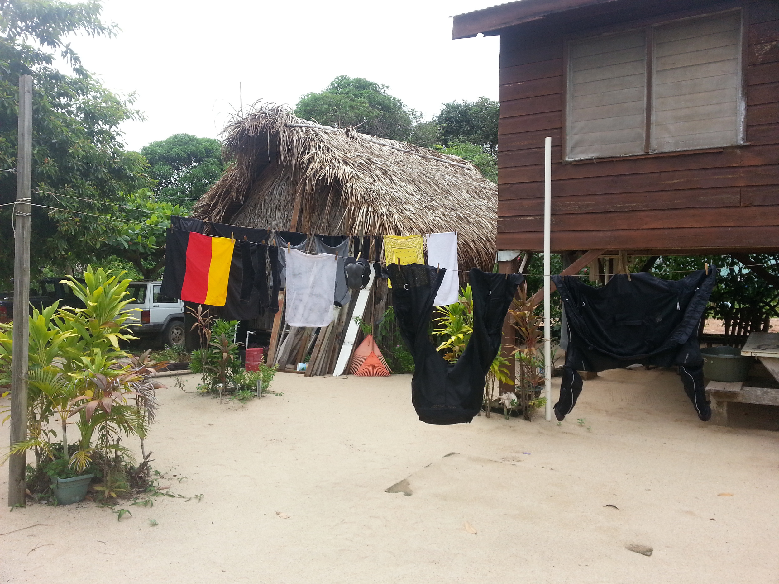 No rain...good day to do laundry