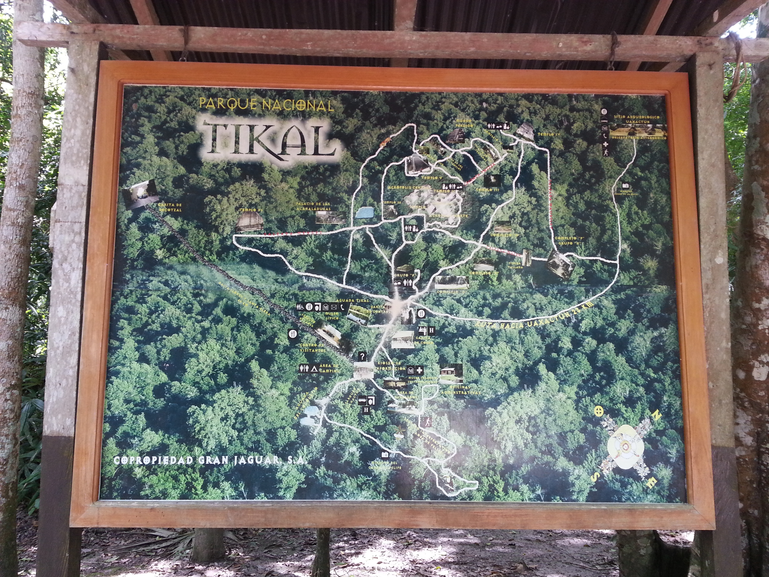 Tikal covers a huge area...good walking shoes are essential 