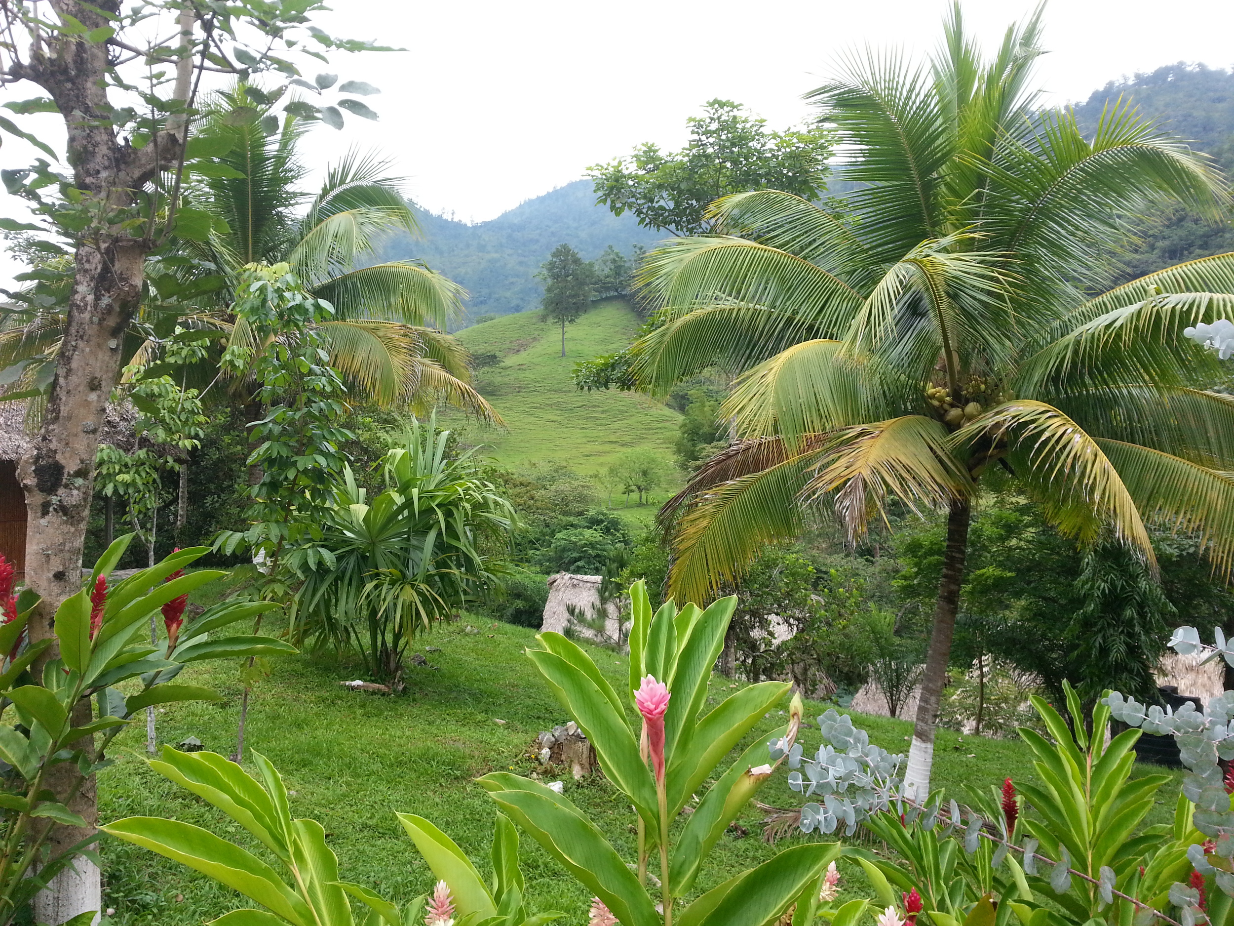 Lush setting....