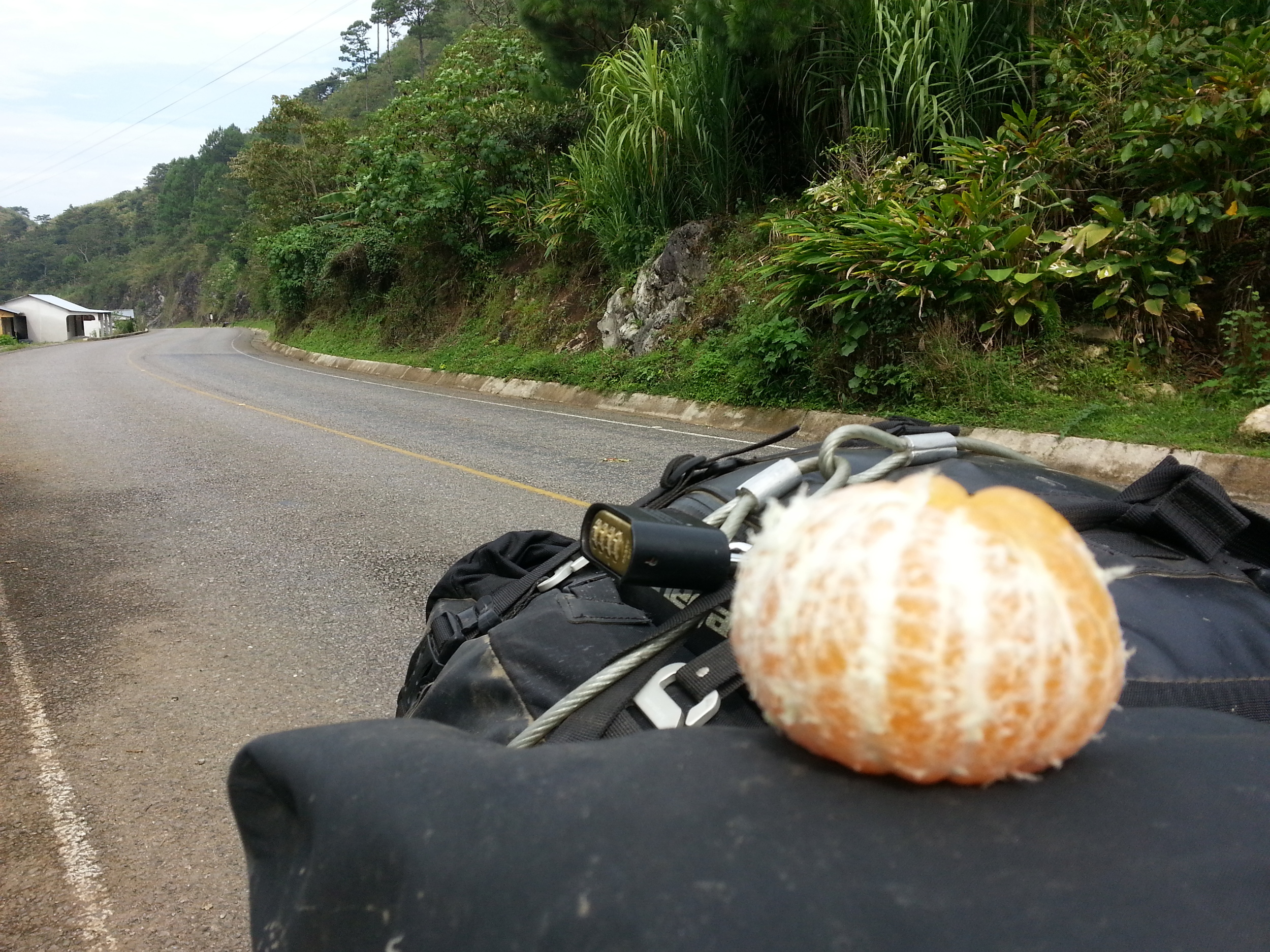 Juicy tangerines...the perfect mid-morning snack.