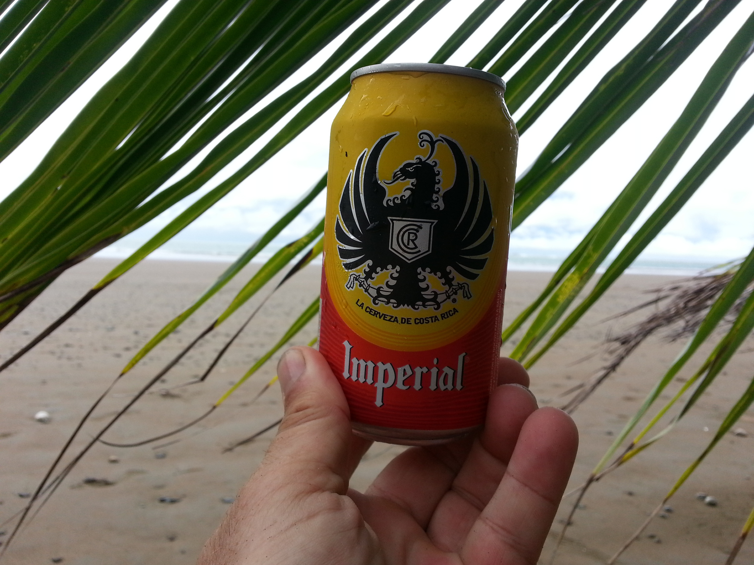 Typical Costa Rica